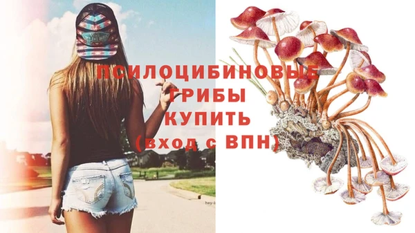 MDMA Вяземский