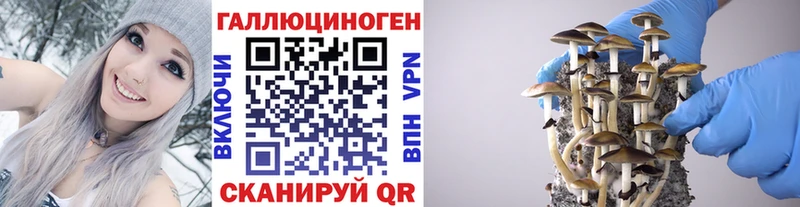 закладки Сухиничи Галлюциногенные грибы мухоморы